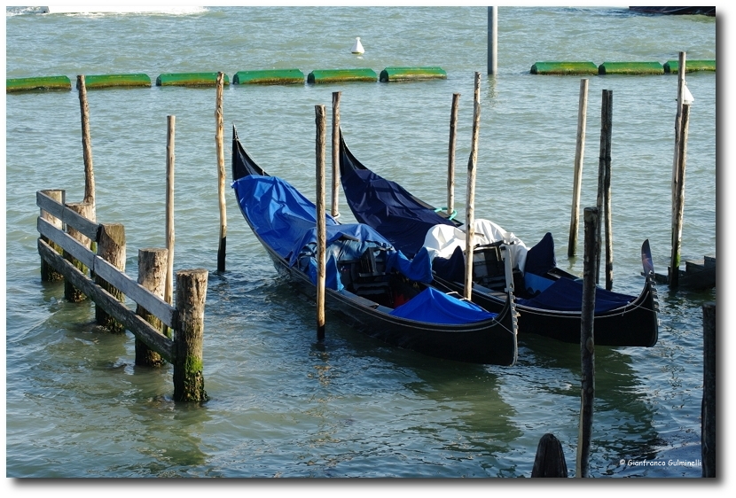 Venezia