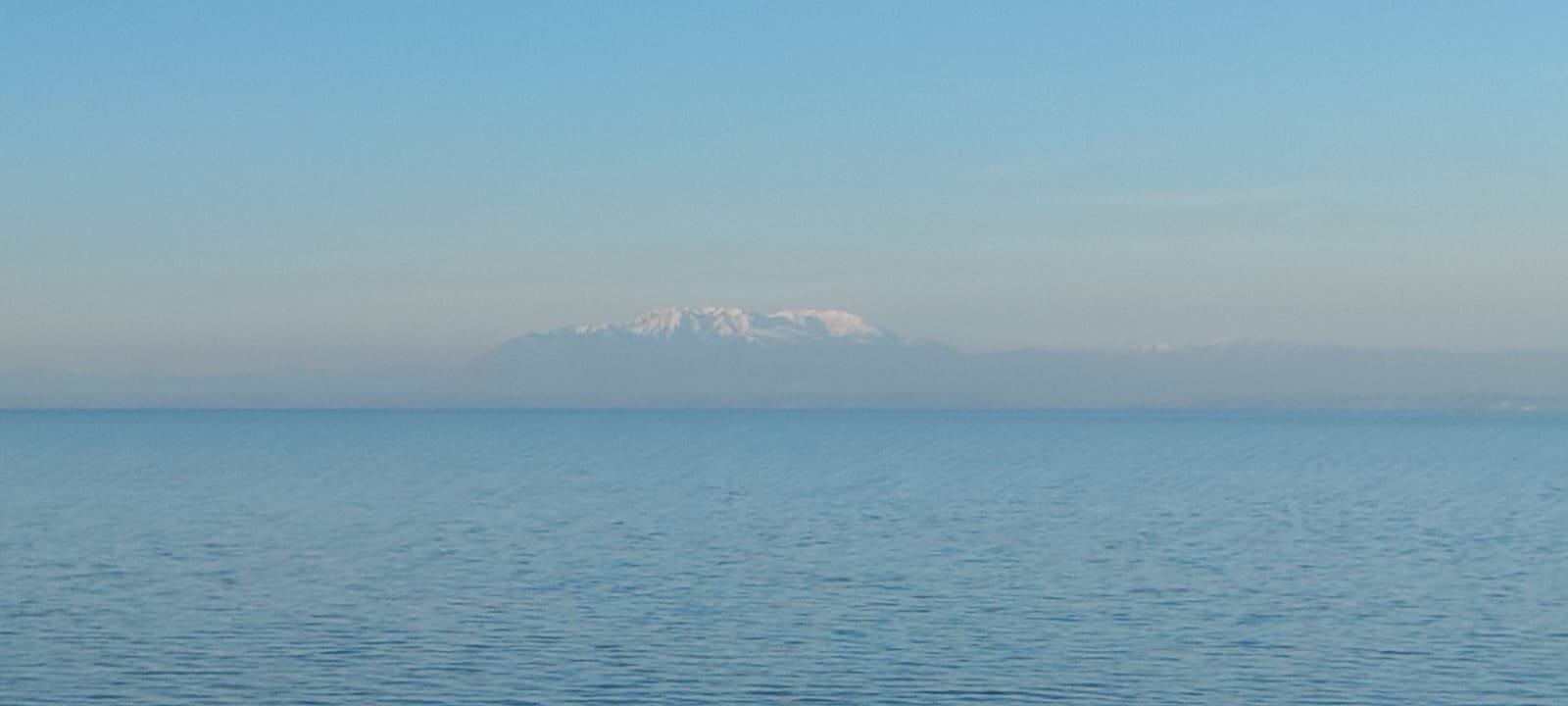 Ortona