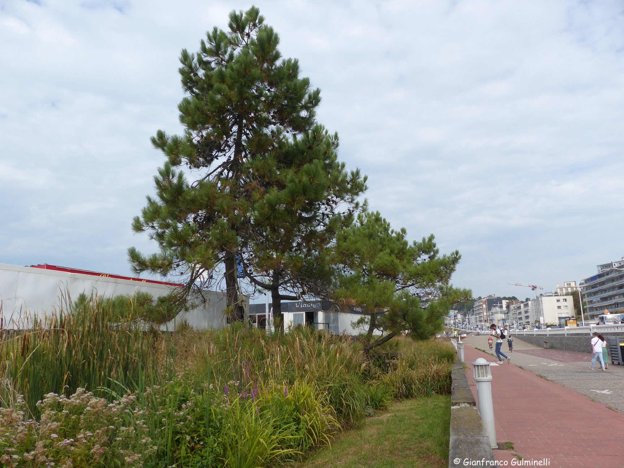 Cours d'eau de la plage du Havre