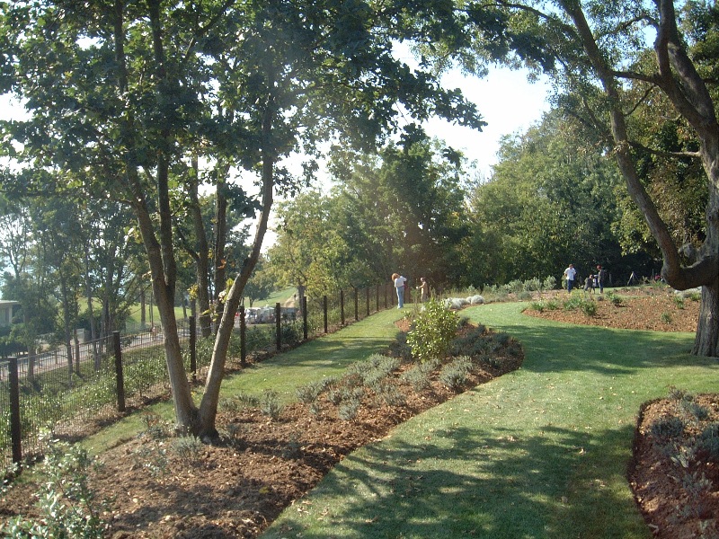 Jardins Suspendus