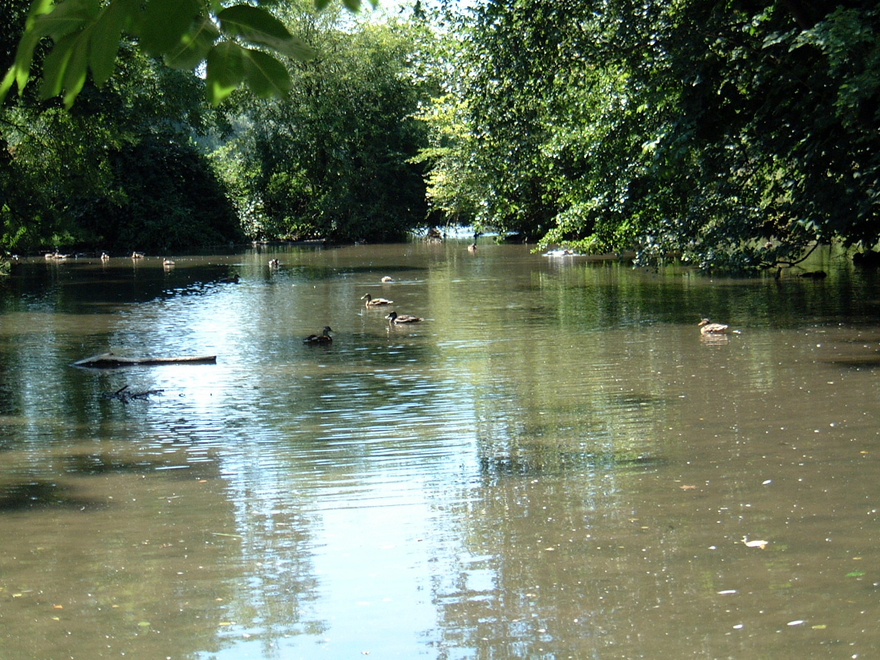 Petit col Moulin