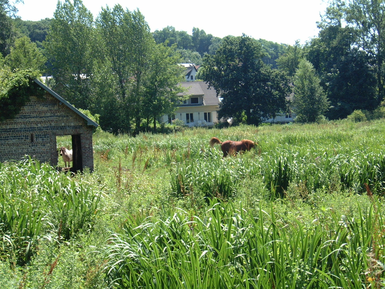 Petit col Moulin
