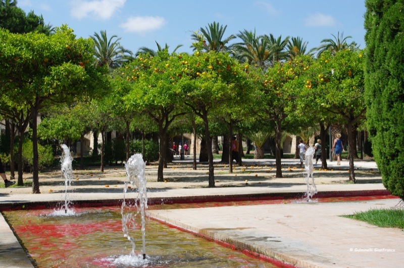Valencia