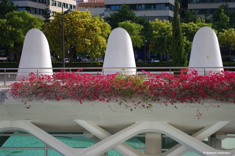 Valencia