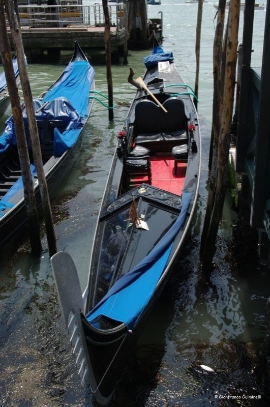 Venezia