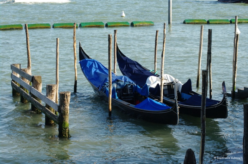 Venezia