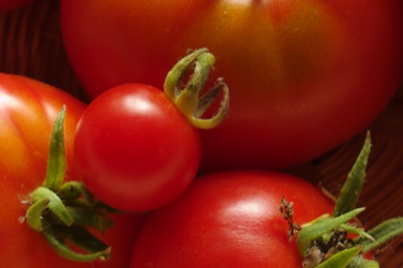 Tomates