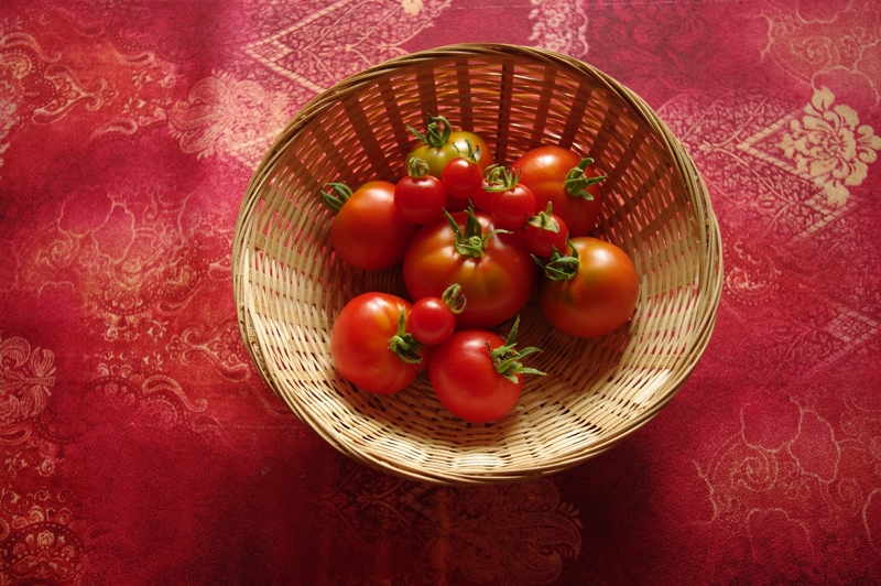 Tomates