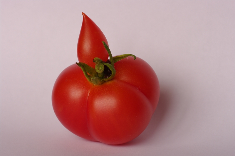 Tomates