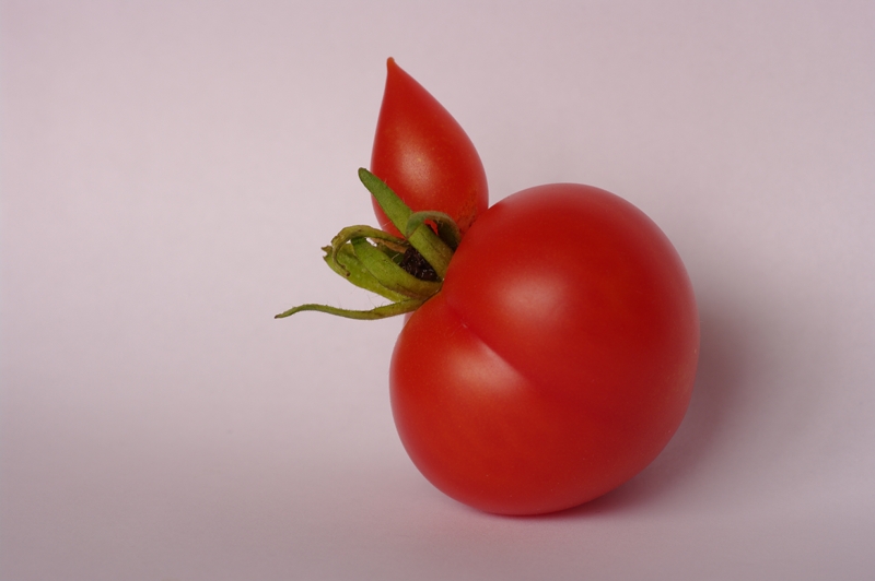 Tomates