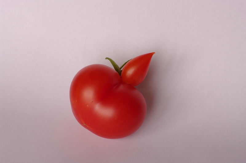 Tomates
