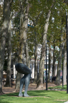 Avenue Foch