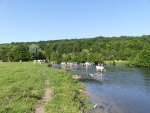 Monfort