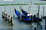 Venezia
